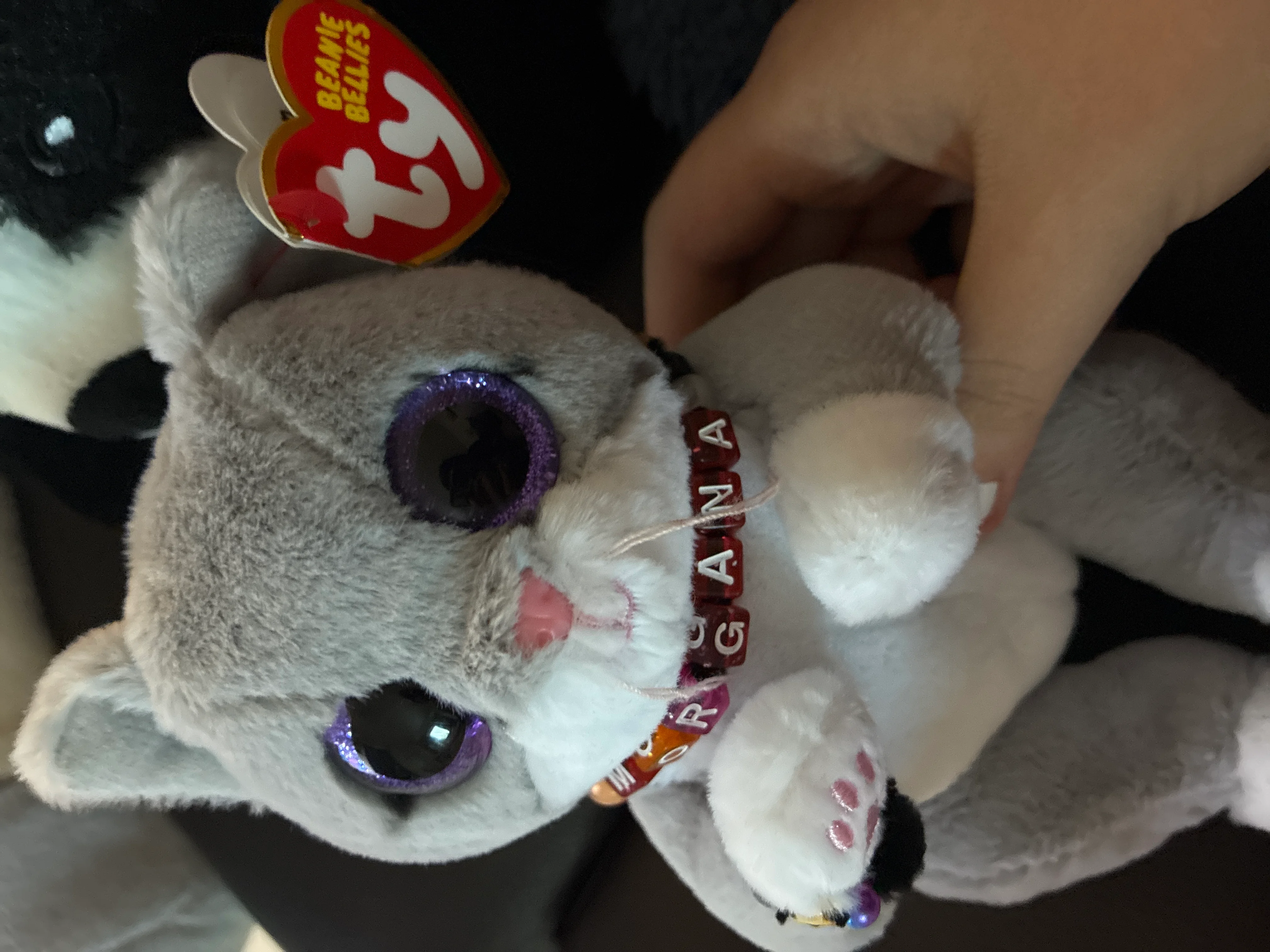 Imagen de publicación