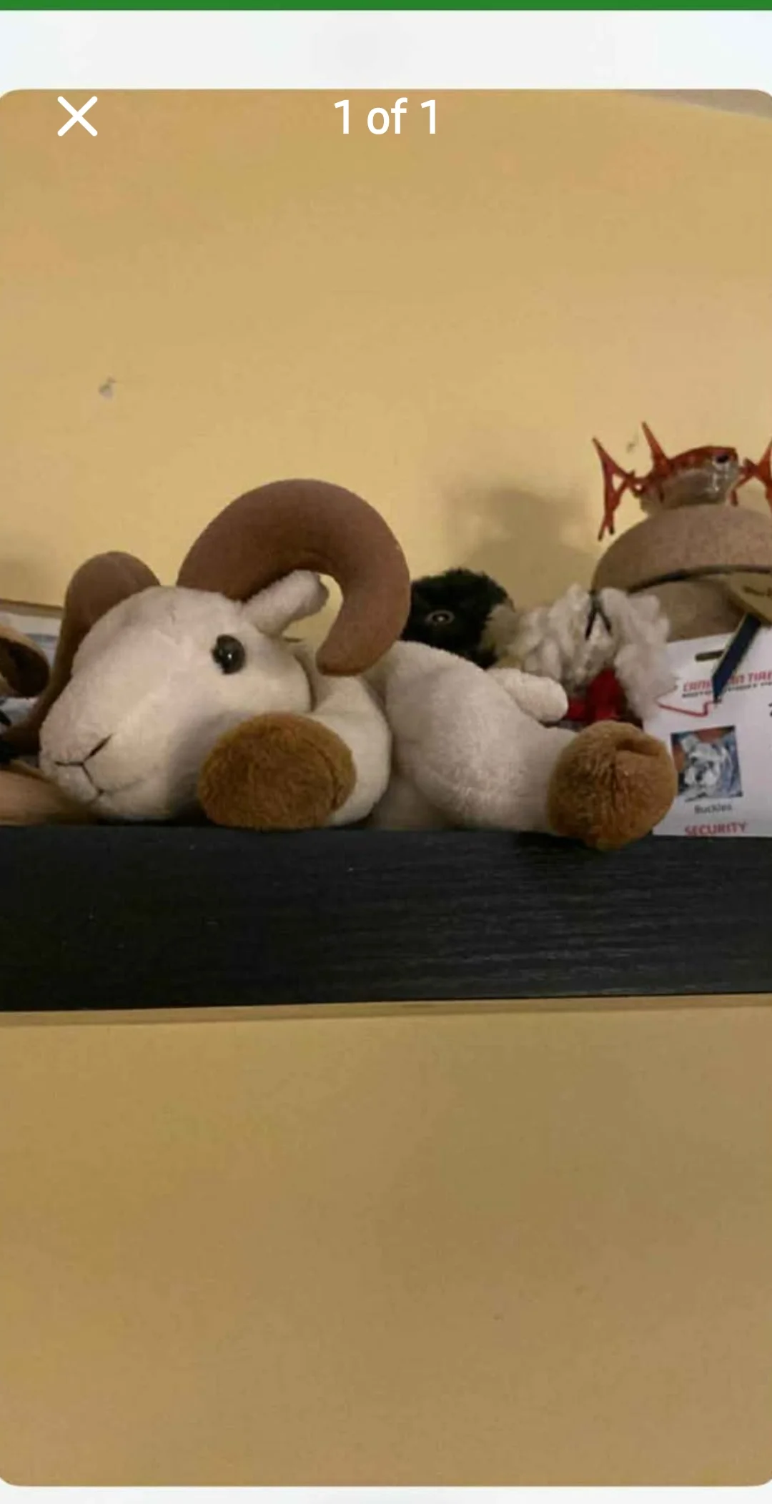 Imagen de publicación