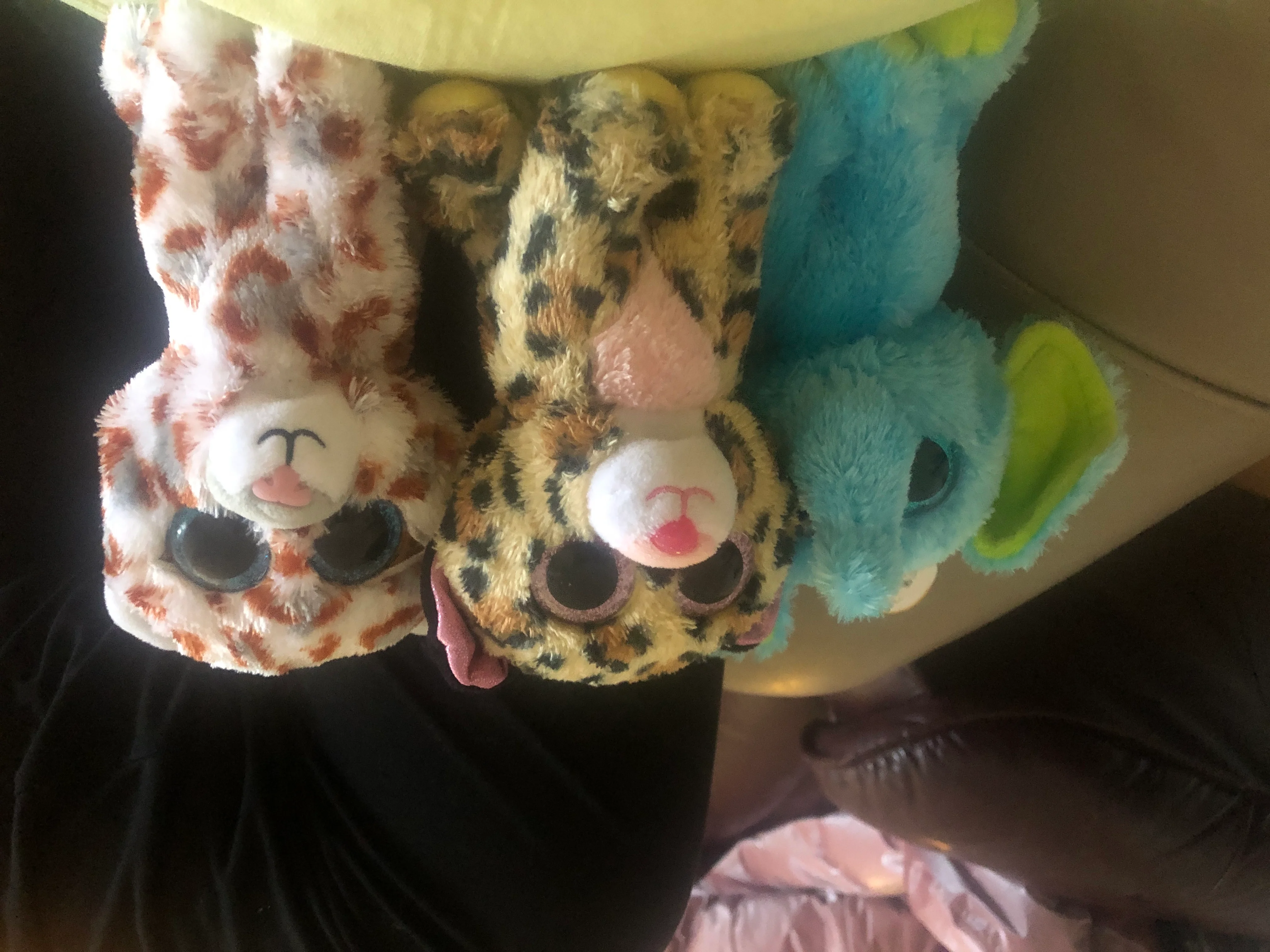 Imagen de publicación