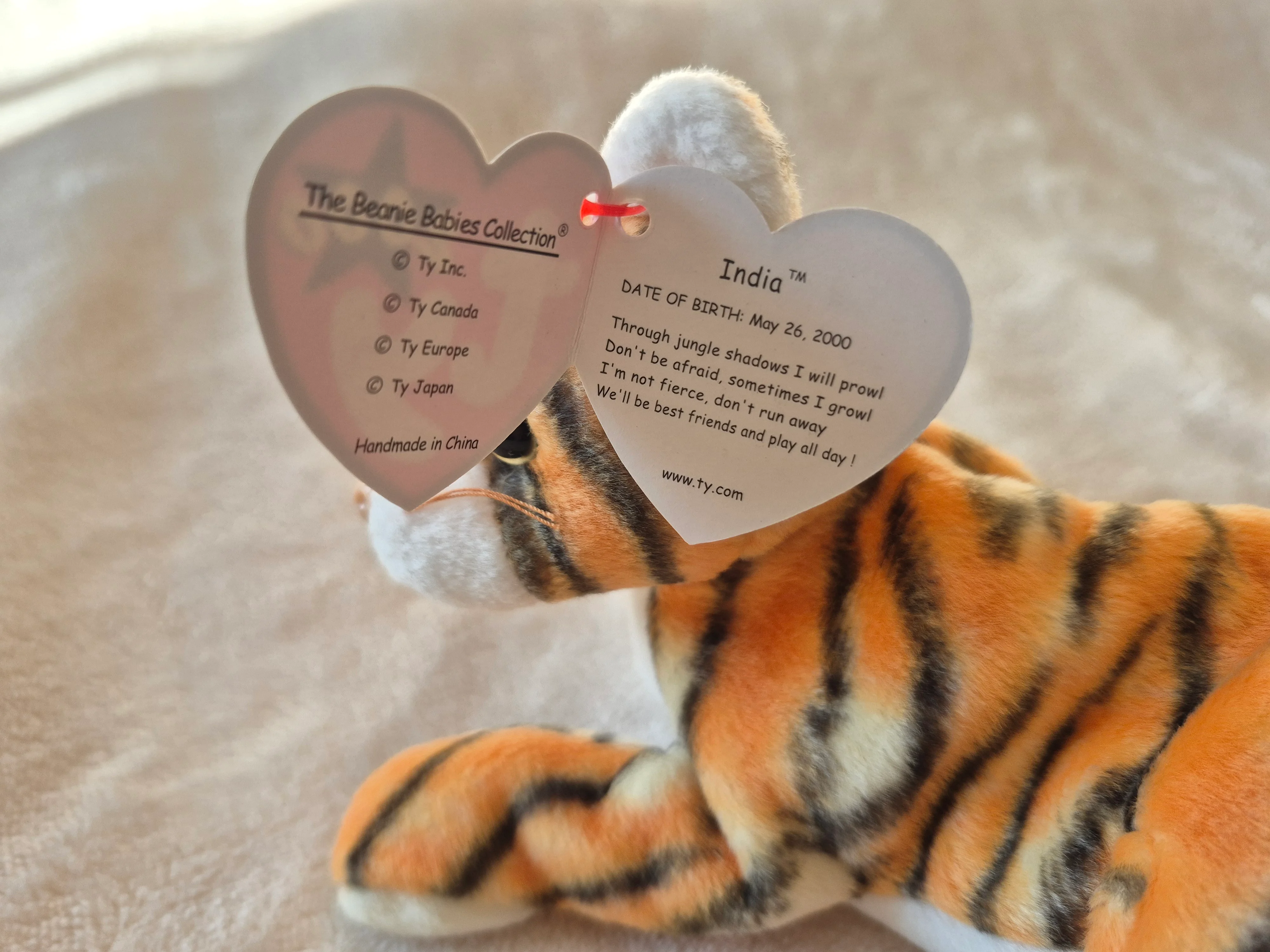 Imagen de publicación