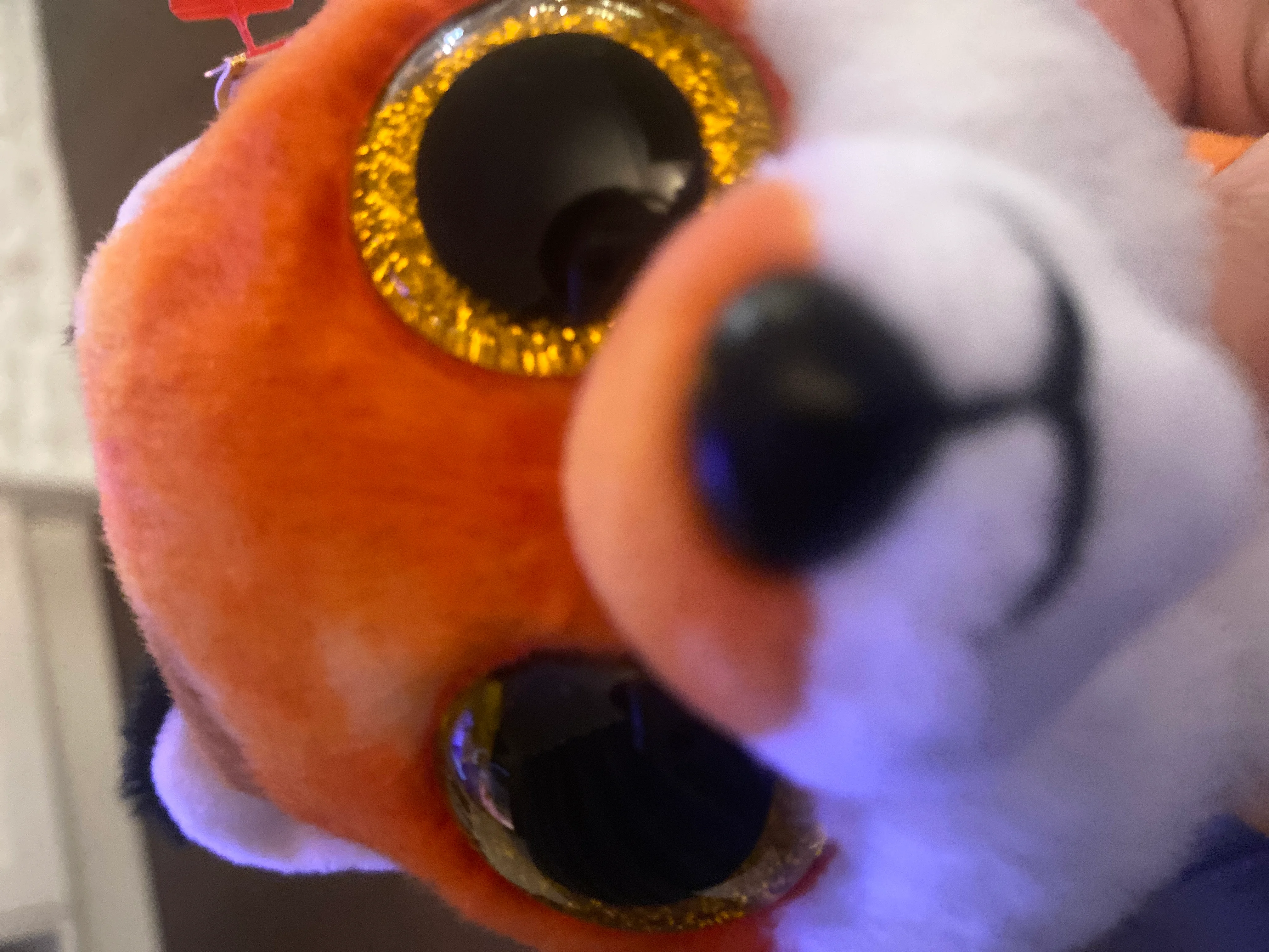 Imagen de publicación