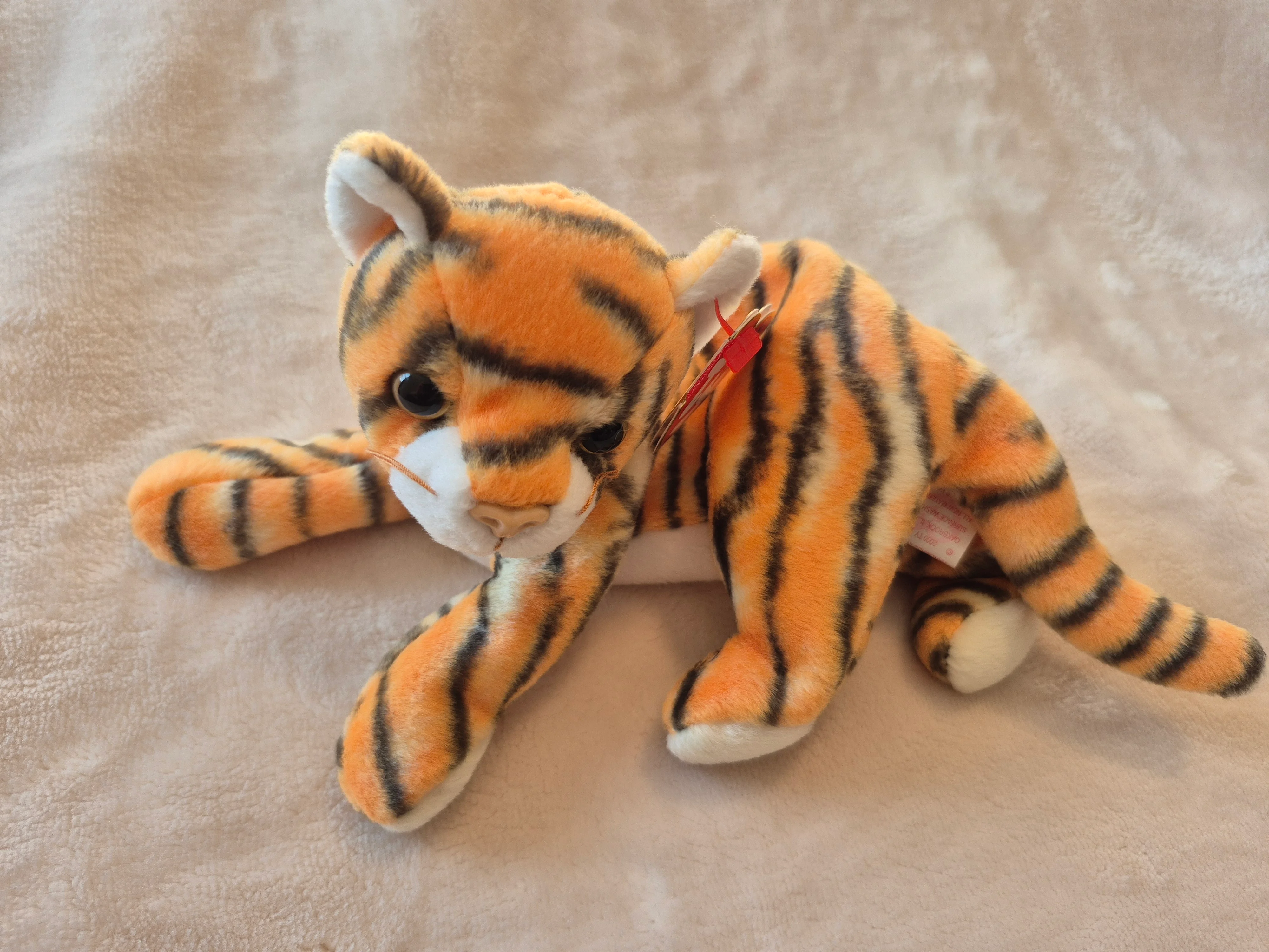 Imagen de publicación