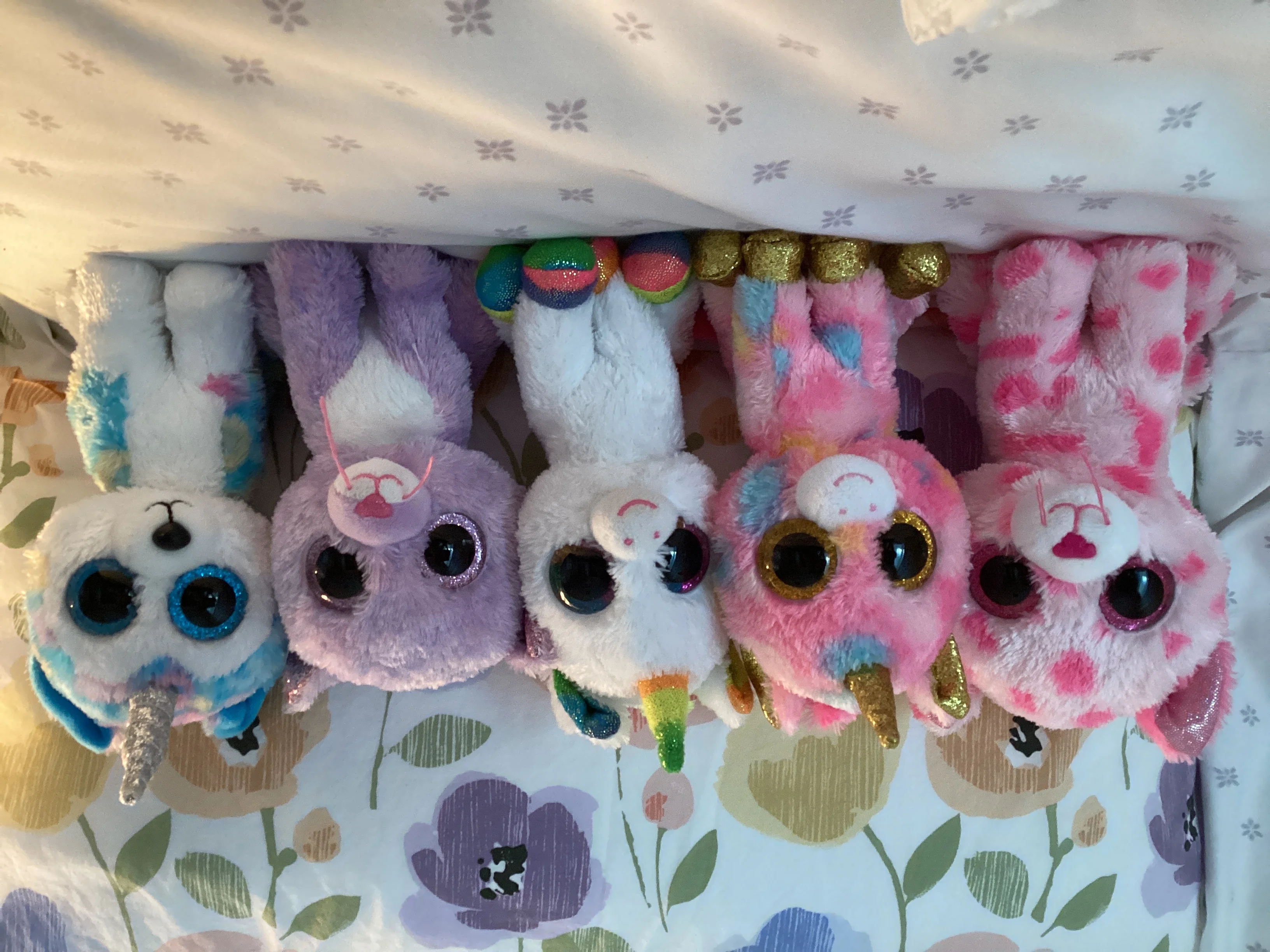 Imagen de publicación